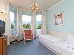 Zimmerbild 11