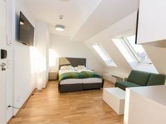 Zimmerbild 9