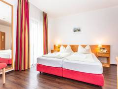 Zimmerbild 8