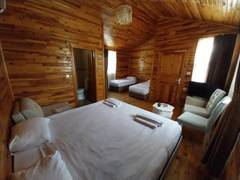 Zimmerbild 3