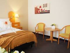 Zimmerbild 13