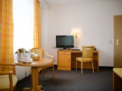 Zimmerbild 7