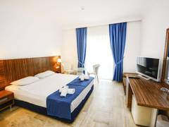 Zimmerbild 5