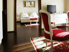 Zimmerbild 6