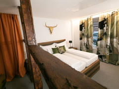 Zimmerbild 11