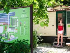 Zimmerbild 9