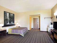 Zimmerbild 8