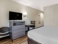 Zimmerbild 13