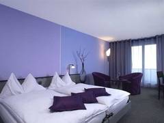 Zimmerbild 1