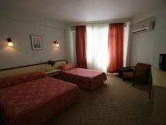 Zimmerbild 10