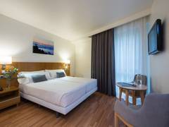Zimmerbild 7