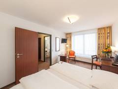 Zimmerbild 6