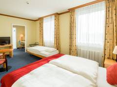 Zimmerbild 6