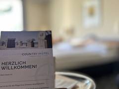 Zimmerbild 8