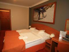 Zimmerbild 5