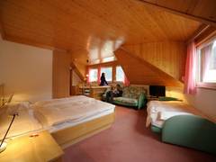 Zimmerbild 7
