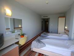 Zimmerbild 10