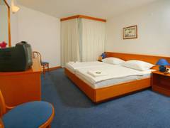 Zimmerbild 11
