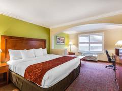 Zimmerbild 18