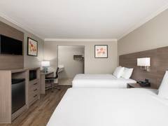 Zimmerbild 6
