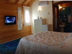 Zimmerbild 3