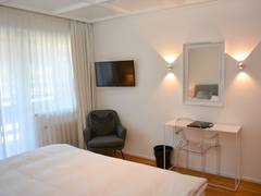 Zimmerbild 13