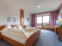 Zimmerbild 5