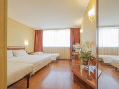 Zimmerbild 1