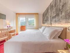 Zimmerbild 15