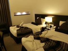 Zimmerbild 5