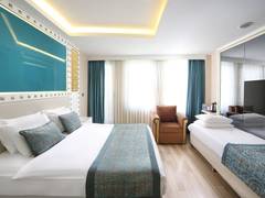 Zimmerbild 8