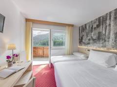Zimmerbild 12