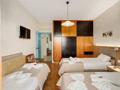 Zimmerbild 6