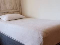 Zimmerbild 8