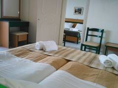 Zimmerbild 40