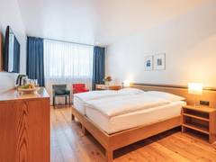Zimmerbild 29