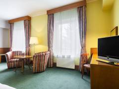 Zimmerbild 8