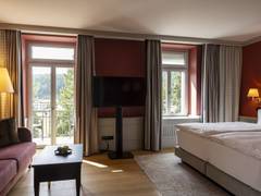 Zimmerbild 10