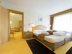 Zimmerbild 9