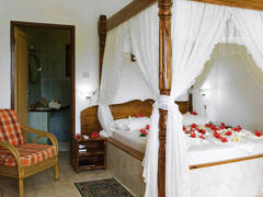 Zimmerbild 3