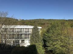 Zimmerbild 19