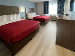 Zimmerbild 13