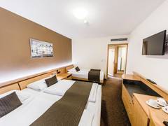 Zimmerbild 7