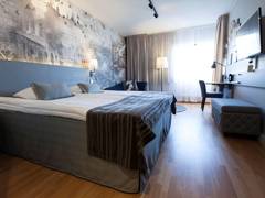Zimmerbild 11