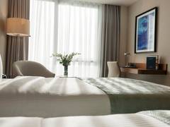 Zimmerbild 6