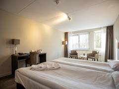 Zimmerbild 6