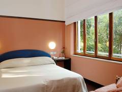 Zimmerbild 6