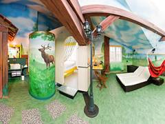 Zimmerbild 5