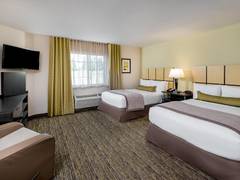 Zimmerbild 2