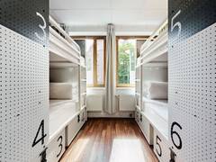 Zimmerbild 3